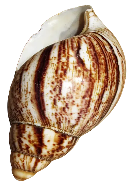 Rendre les enfants plus belles grace aux escargots bio