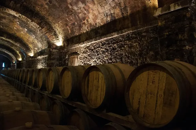 A cellar with more than 20,000 bottles and 50 million euros