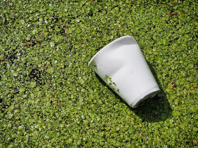 Plastic pollution is getting worse