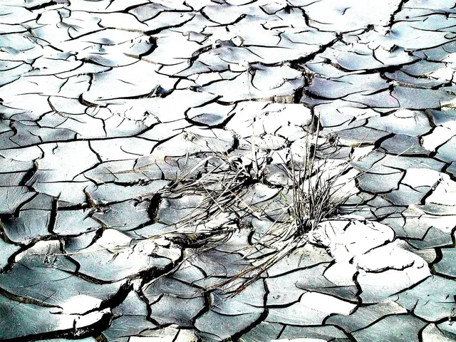Drought hits Nevada hard