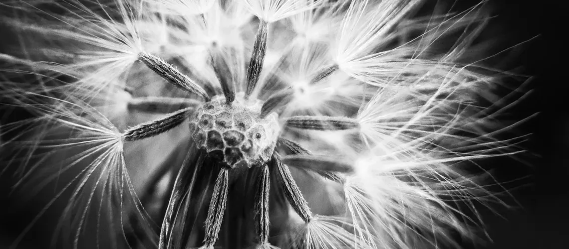 unnamed - 2022-08-08T112035.107