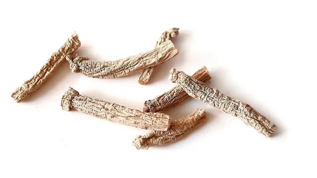 Vietnam has the best ginseng in the world