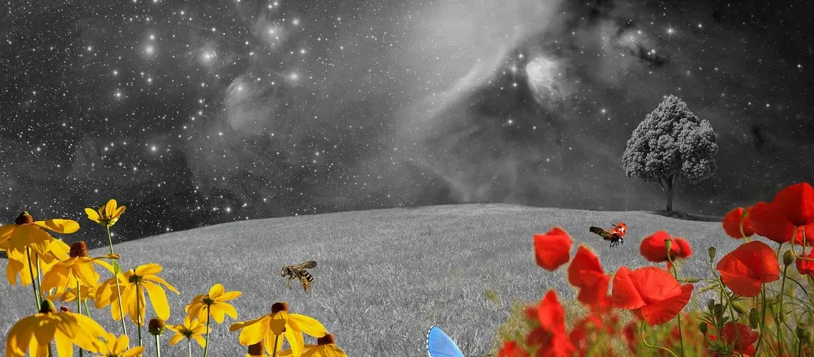 unnamed - 2022-01-20T142345.408