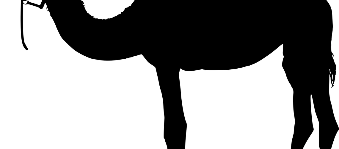 unnamed - 2022-08-16T162929.300