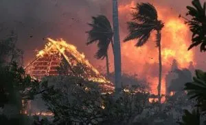 b_300_200_16777215_00_images_stories_images_evt_2023_incendie_hawai_100823.jpg