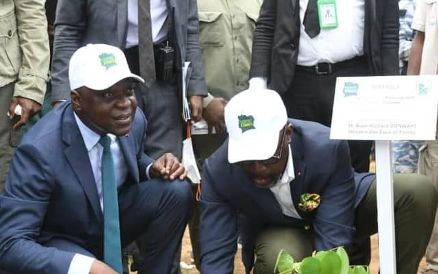 Ivorian government seeks more than $1 billion for reforestation