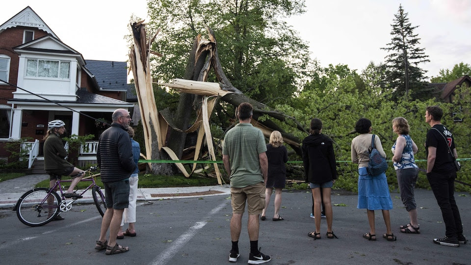 Storms kill 8 people in Canada