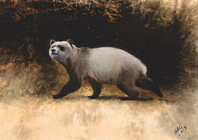 Bulgaria would be the first home of the Panda, but 6 million years ago