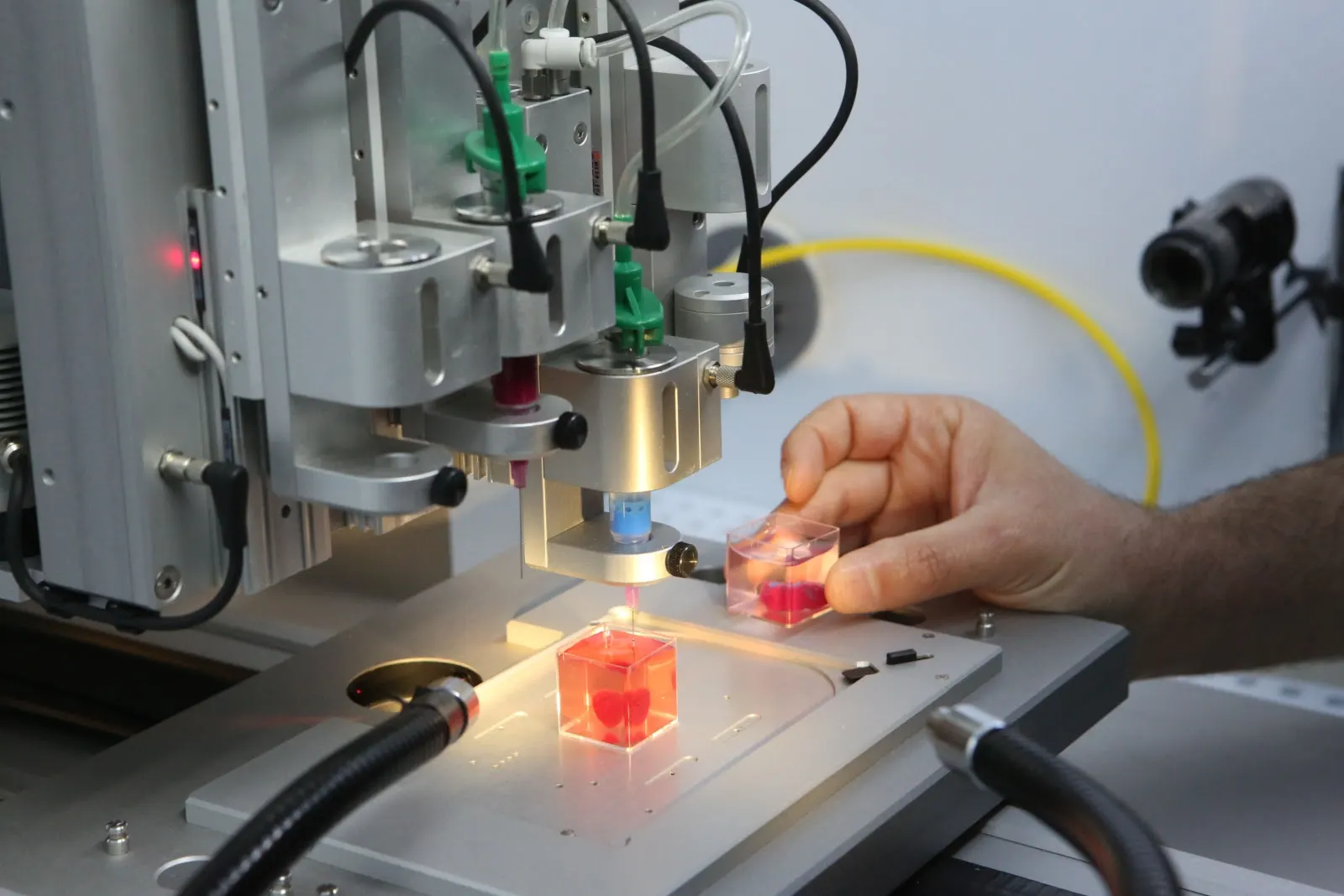 Promising beginnings for an organ printer in Israel