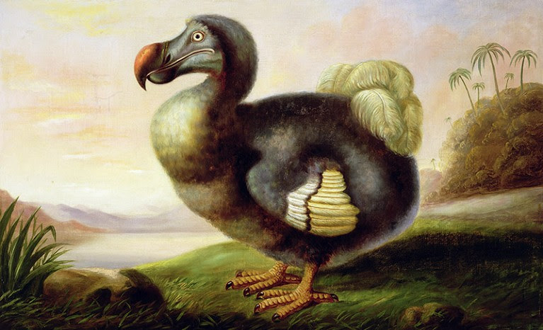 Resurrecting the Dodo is possible
