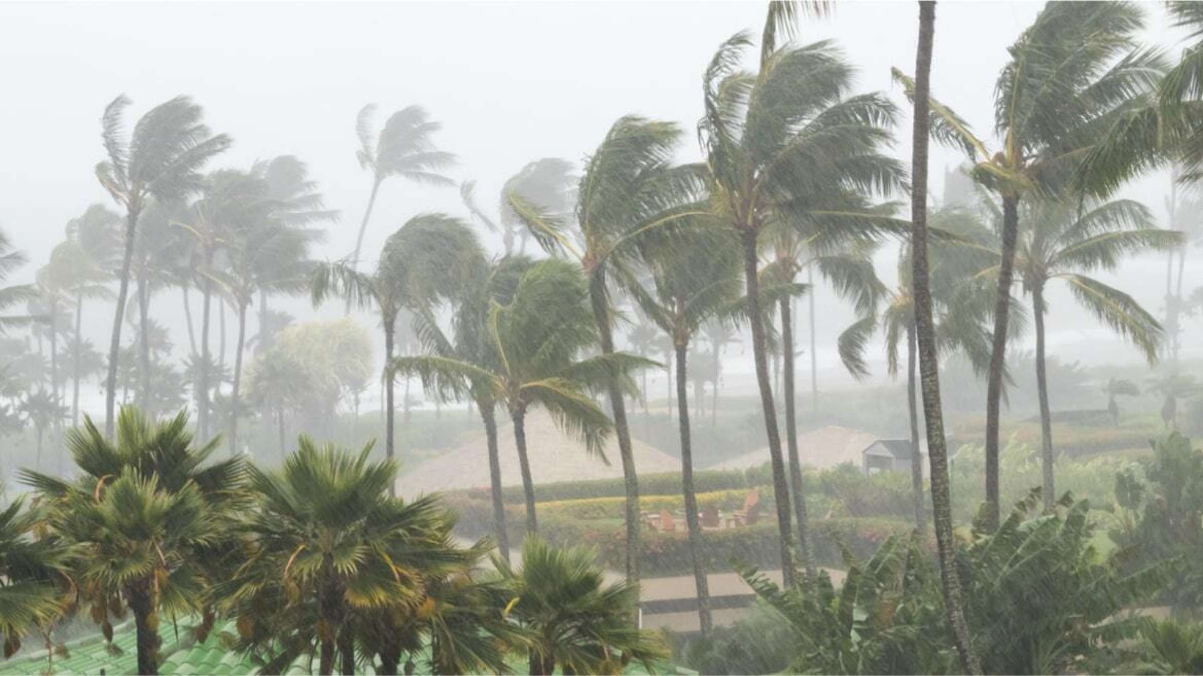 Global warming increases hurricane rainfall