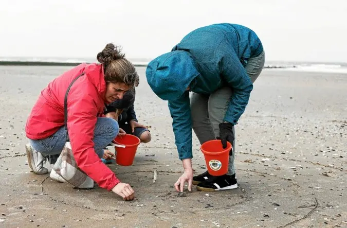 A new way to determine biodiversity in the sea