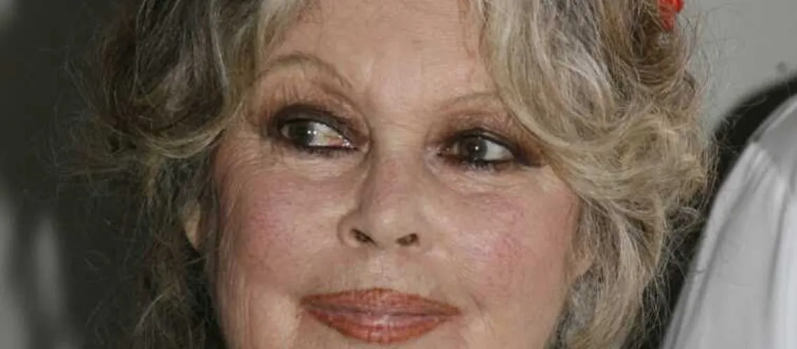 Brigitte Bardot, the 1960s sex symbol turned animal rights activist, has made a rare appearance in Paris to mark the 20th anniversary of her wildlife foundation. She was also celebrating her 72nd birthday, travelled from her Riviera home in the hills of Saint Tropez to meet the press and speak of her two-decade campaign. Paris, 28/09/06 ref : MDR