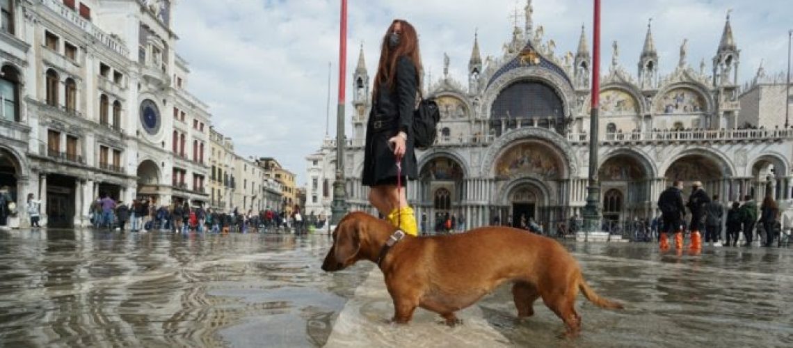 epa08752935 A small dog walks with its paws immersed in the water in San Marco square, in Venice, Italy, 17 October 2020. For the third consecutive day Venice reckons with the high water, this time the floodgates of the Mose have not come into operation and the tide has reached 105 cm, flooding St Mark's Square. The high tide reached a level of 110 cm at the Lido, and at Malamocco, where it reached a maximum altitude of 112 cm.  EPA-EFE/ANDREA MEROLA