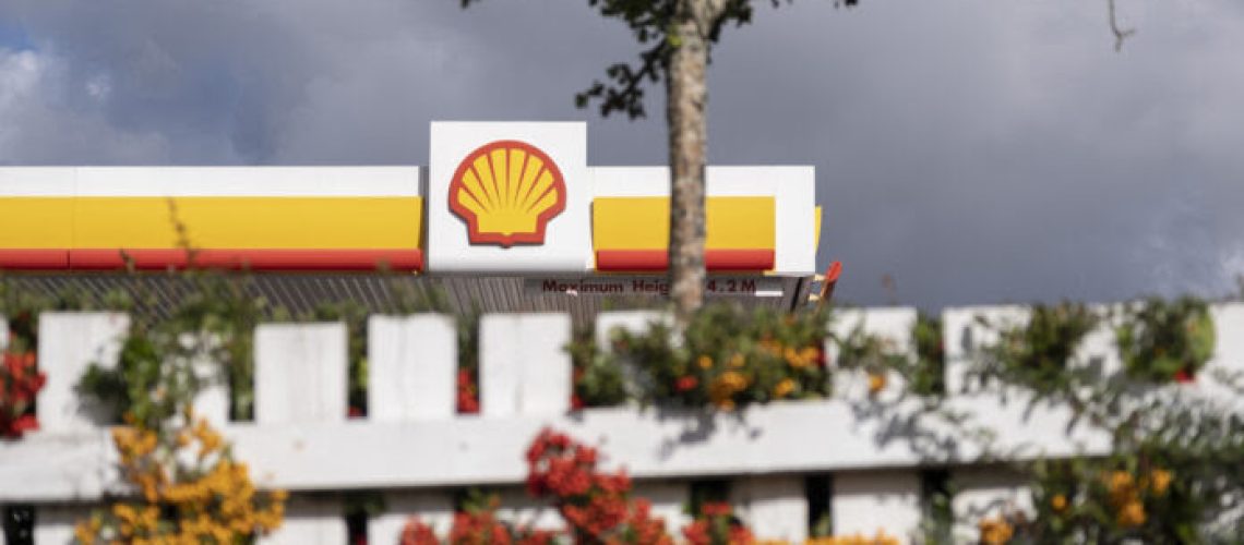 Shell petrol station logo in natural surroundings of red and yellow plants on 29th September 2021 in Birmingham, United Kingdom. Shell Oil Company is the United States-based wholly owned subsidiary of Royal Dutch Shell, a transnational corporation 'oil major' and is amongst the largest oil companies in the world. (photo by Mike Kemp/In Pictures via Getty Images)