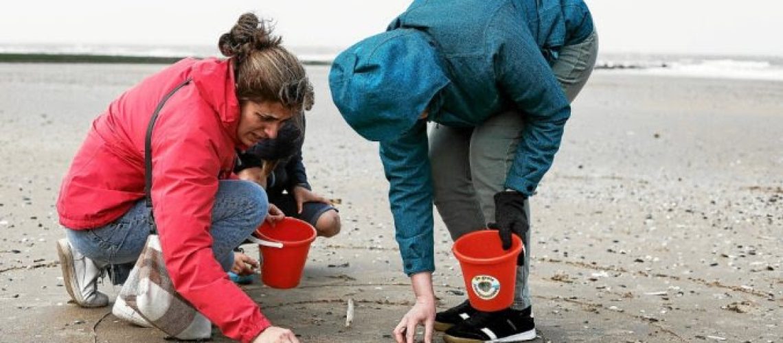Volunteers collect shellfish shells on a beach as part of a survey and counting operation organised by the Flemish Institute of the Sea (VLIZ) in Middelkerke on March 25, 2023. Volunteers in Belgium, the Netherlands and France counted around 38000 shellfish shells for the sixth edition of this counting day as part of scientific studies. (Photo by Kenzo TRIBOUILLARD / AFP)